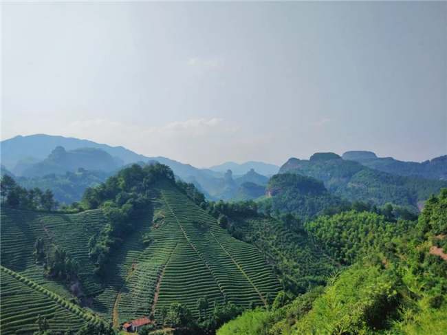 武义七旗山景区简介图片