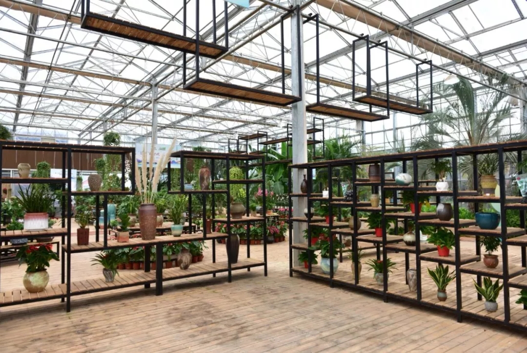 第十七届中国(金华)花卉苗木交易会在澧浦花木城开幕(回帖花絮更新)