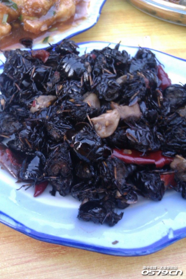 【第13季口查报告】武义桐琴大排档,知了肉!