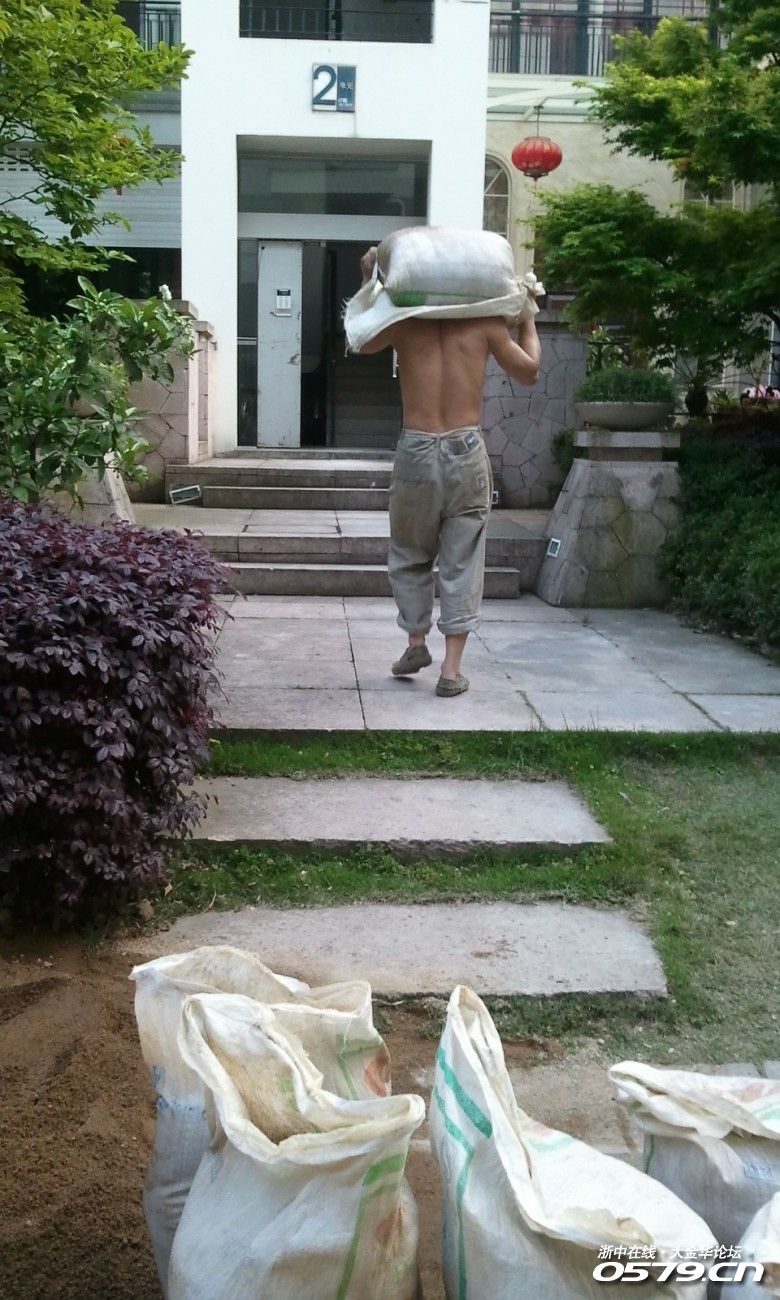 再来张辛苦的搬运师傅背影,辛苦的,赚钱都不容易啊.