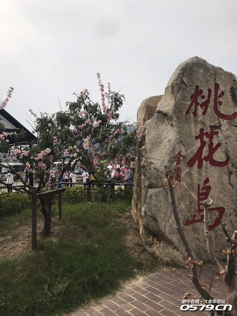 舟山桃花島～島上的生活,浪蕩不羈自由著