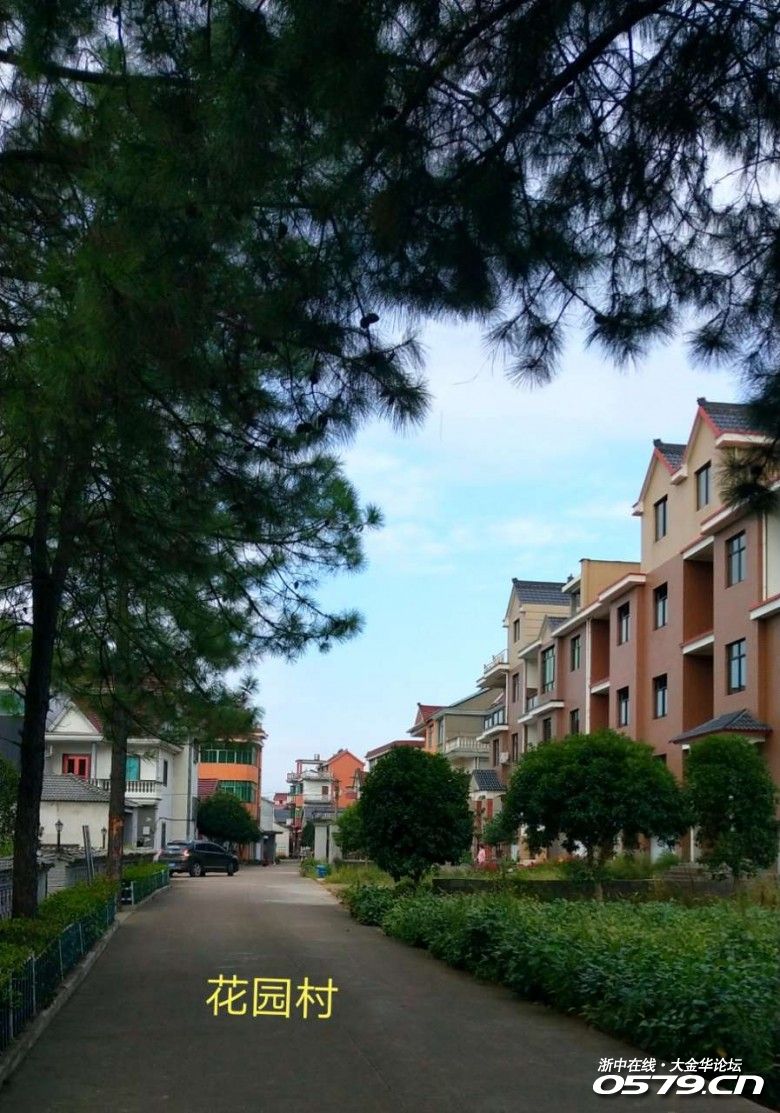 美丽乡村:花园村