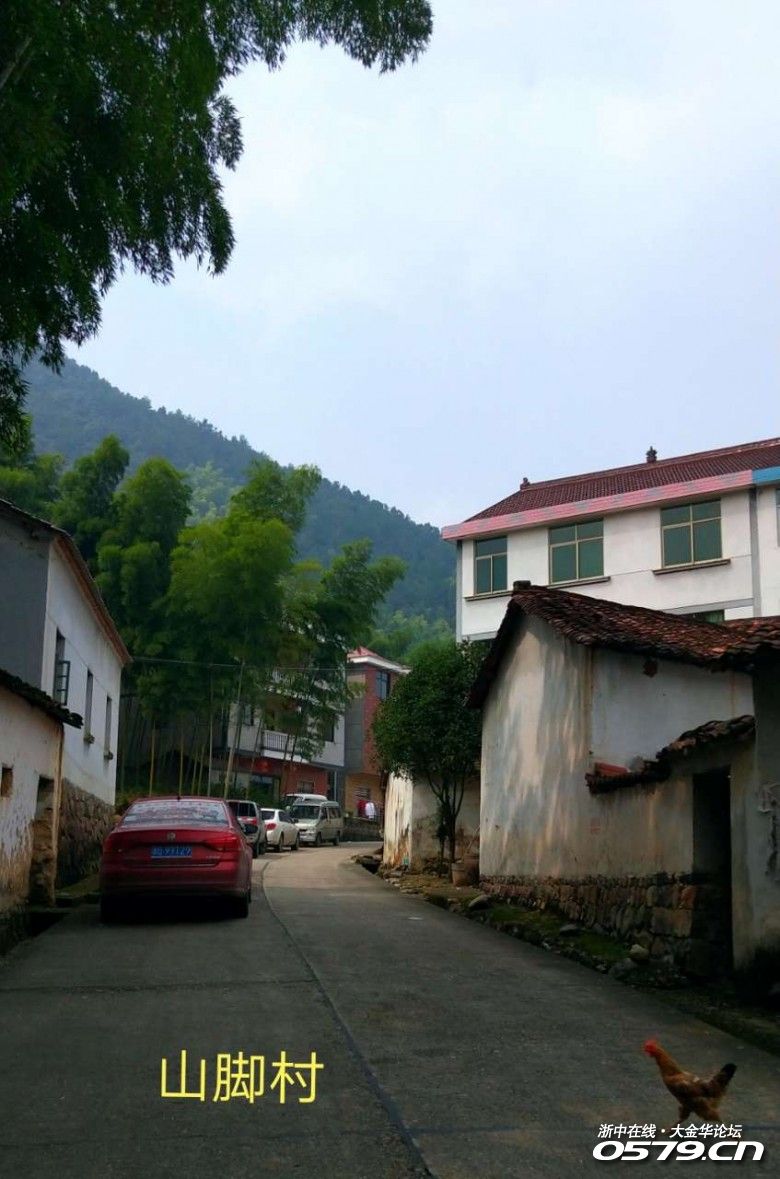 美丽乡村:山脚村