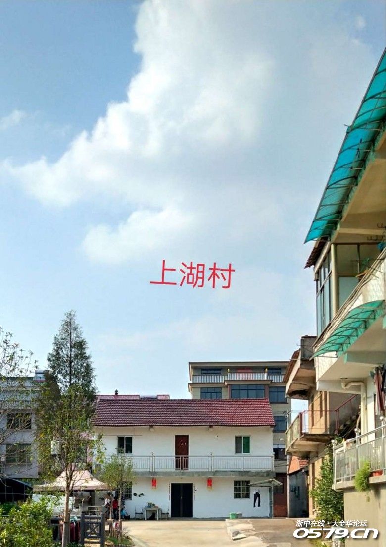 美丽乡村:上湖村