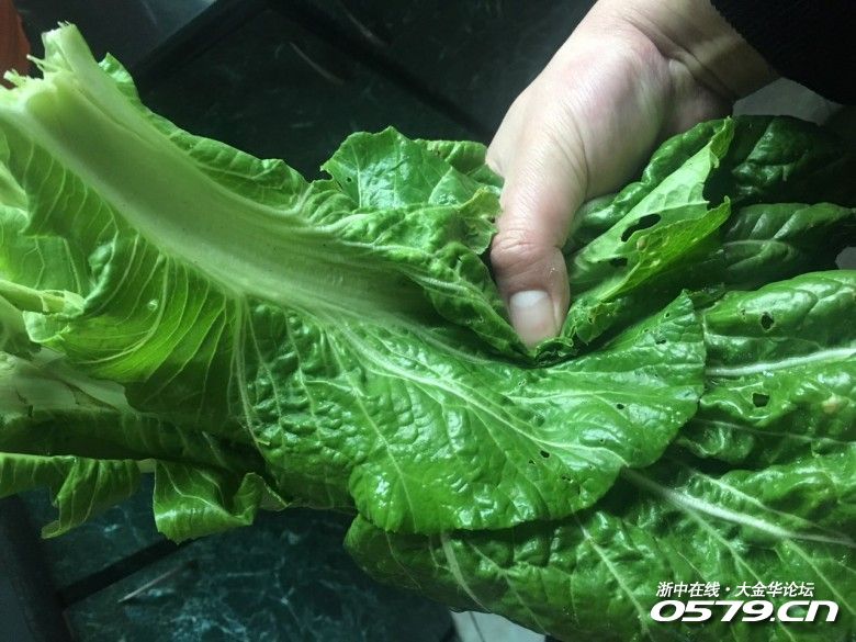 落汤青竟还有这么多说法啊