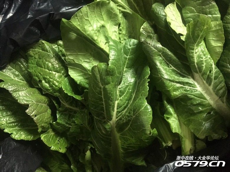 落汤青竟还有这么多说法啊