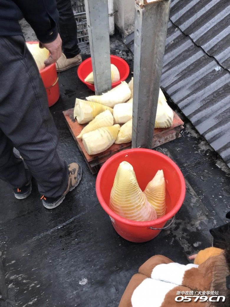 我的老爸,自己发明压笋,晒笋干