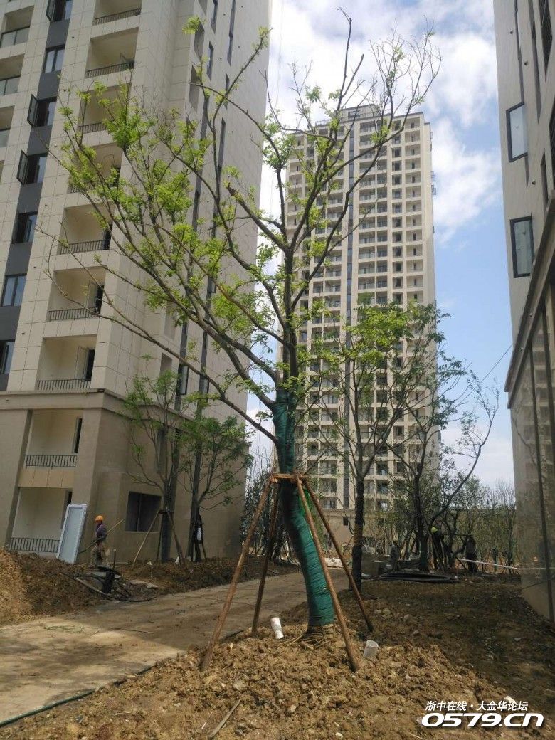 (美的金宸府已作出回应)金华美的金宸府没有诚信!