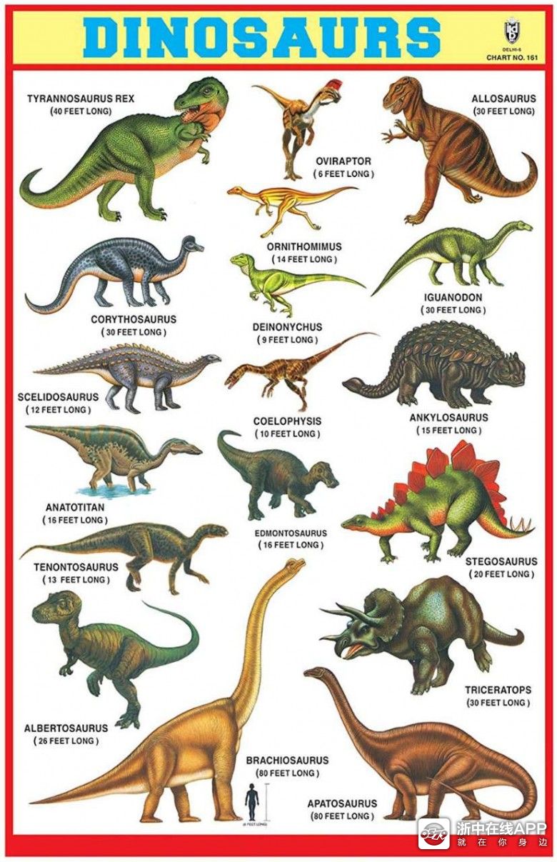 恐龙名字及图片大全图片