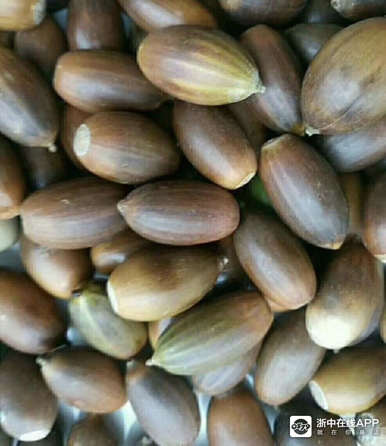 来自磐安山区的泽子豆腐嫩滑可口