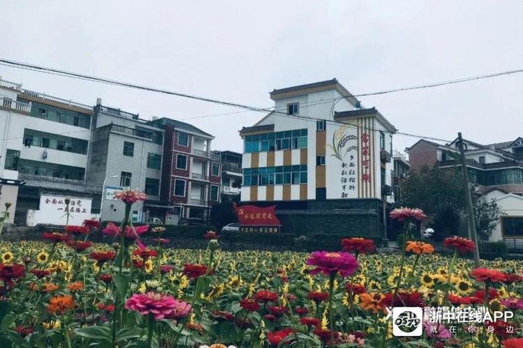 11-3 richandsome 浙中在线 11月2日,佛堂镇龙溪村六石文化礼堂门口