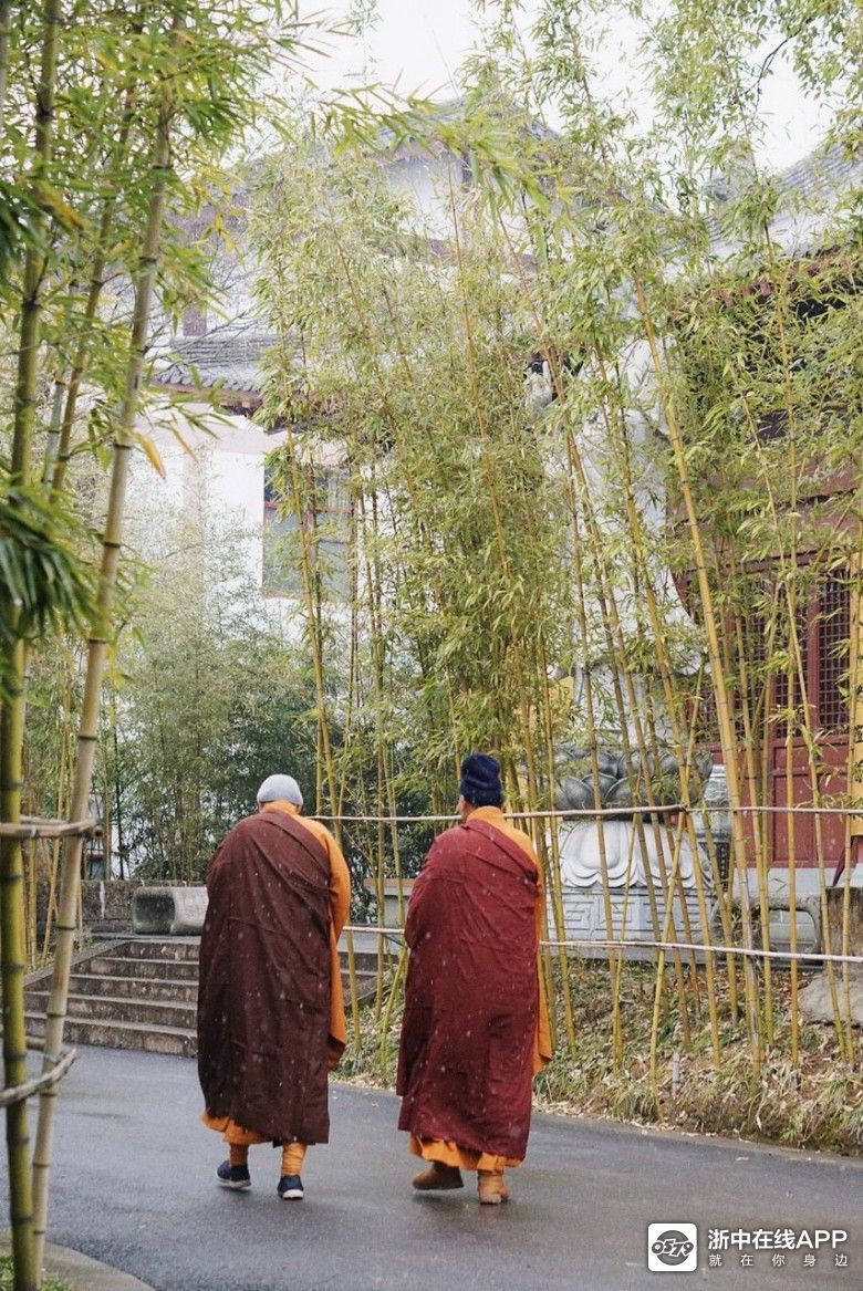 智者寺的大雪(感觉市区更大)