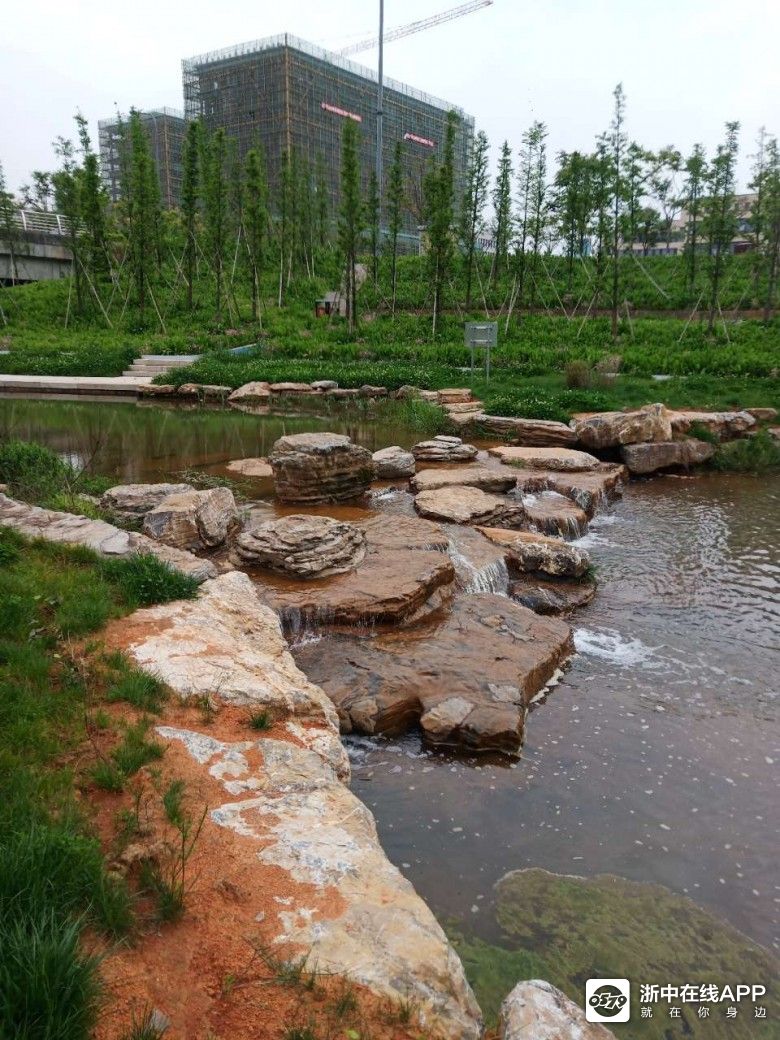 汤溪镇终于有了一条人造的小溪!而且环境优美!