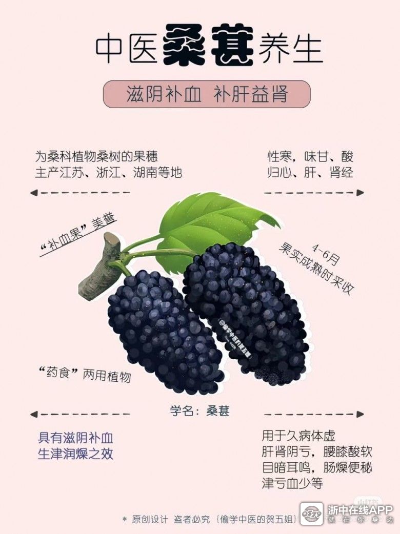 旺季已临!果园直销价格美丽,赶紧约起来吧!享受采摘的乐趣