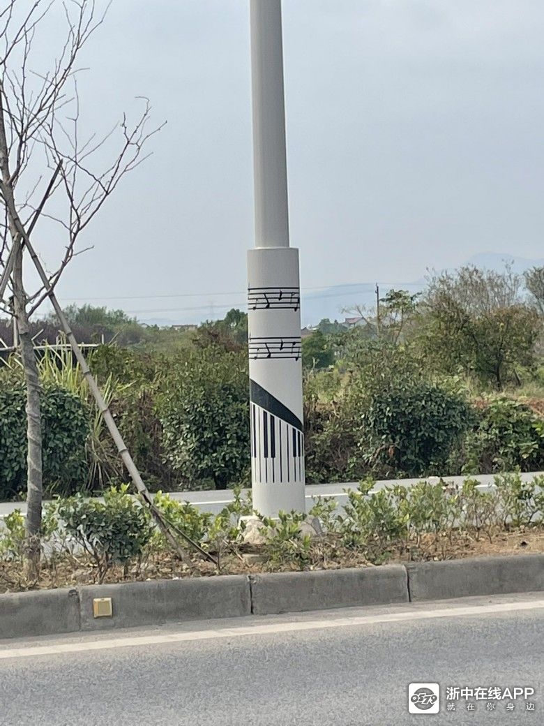 路边的电灯柱,有没有懂的人