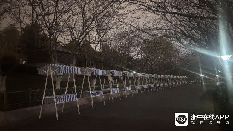 国际友城公园樱花大道|八婺杂谈 - 大金华论坛 - bbs.0579.cn